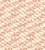 Frieze Pastel Orange