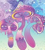 Trippy Magic Mushrooms