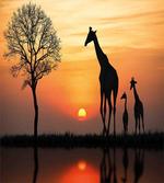 efc65b6e869a74d49f30fe7225043435