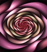 Rose Petals Modern Art