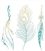 Feather Peacock Vintage