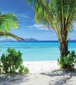 Idyllic Oceanic Resort