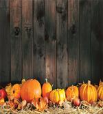 Thanksgiving Pumkins artwork