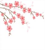 Cherry Blossom Artwork