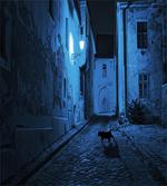Black Cat Deserted Street