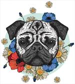Black and White Head of Dog