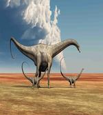 Diplodocus Dinasours