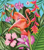 Hibiscus Tropic Flower