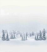 Foggy Weather Trees