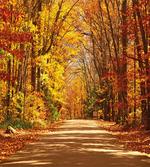 Scenic Outdoors Empty Road