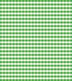 Green White Gingham