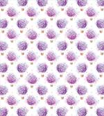 Hot Air Balloons Hydrangea