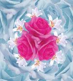 Graphic Roses and Lilies