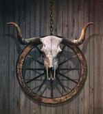 Rustic Skulll