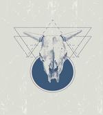 Skull Bull Horns Vintage