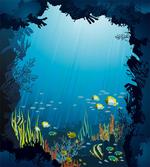 Tropical Fishes and Reefs