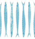 Sardine Fish Doodle Oceanic