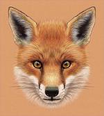 Fluffy Face Forest