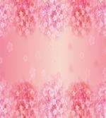 Plum Blossom Botany