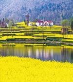 Spring Scenery