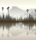 Northern Nature Pattern