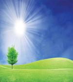 Sun Rays with Lonely Tree artwork