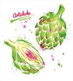 Watercolor Super Food