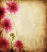 Retro Flowers Grungy Old