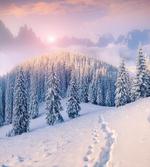 Idyllic Winter Morning artwork