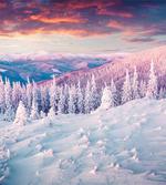 European Snowy Mountain artwork