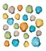 Scallop
