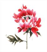 Japanese Ink Wash Painting