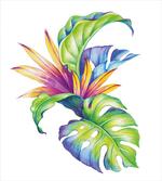Abstract Colored Leaves
