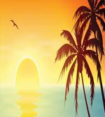 Tropical Sunset with Ombre Sky