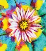 Petal Floral Print Art