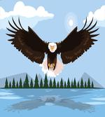Landscape Illustration Art