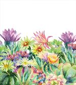 Flowers and Succulents artwork