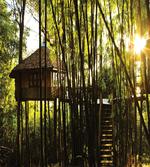 Hut in Idyllic Forest
