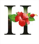 Hibiscus Green Leaves