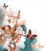 Colorful Butterflies Fly