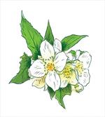 Freshness and Purity