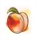 Fresh Fruit Sketch Art