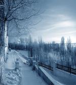 Ice Cold Snowy Scenery