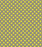 Citrus Motif Stripes Art artwork