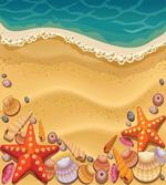 Seashell on Shore Cartoon