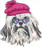 Lowchen Dog Glasses Hat