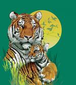 Tiger Family in Jungle