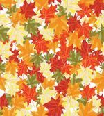 Pile of Foliage Tree Leaves