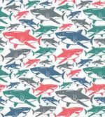 Colorful Shark Patterns