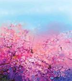 Cherry Spring Theme